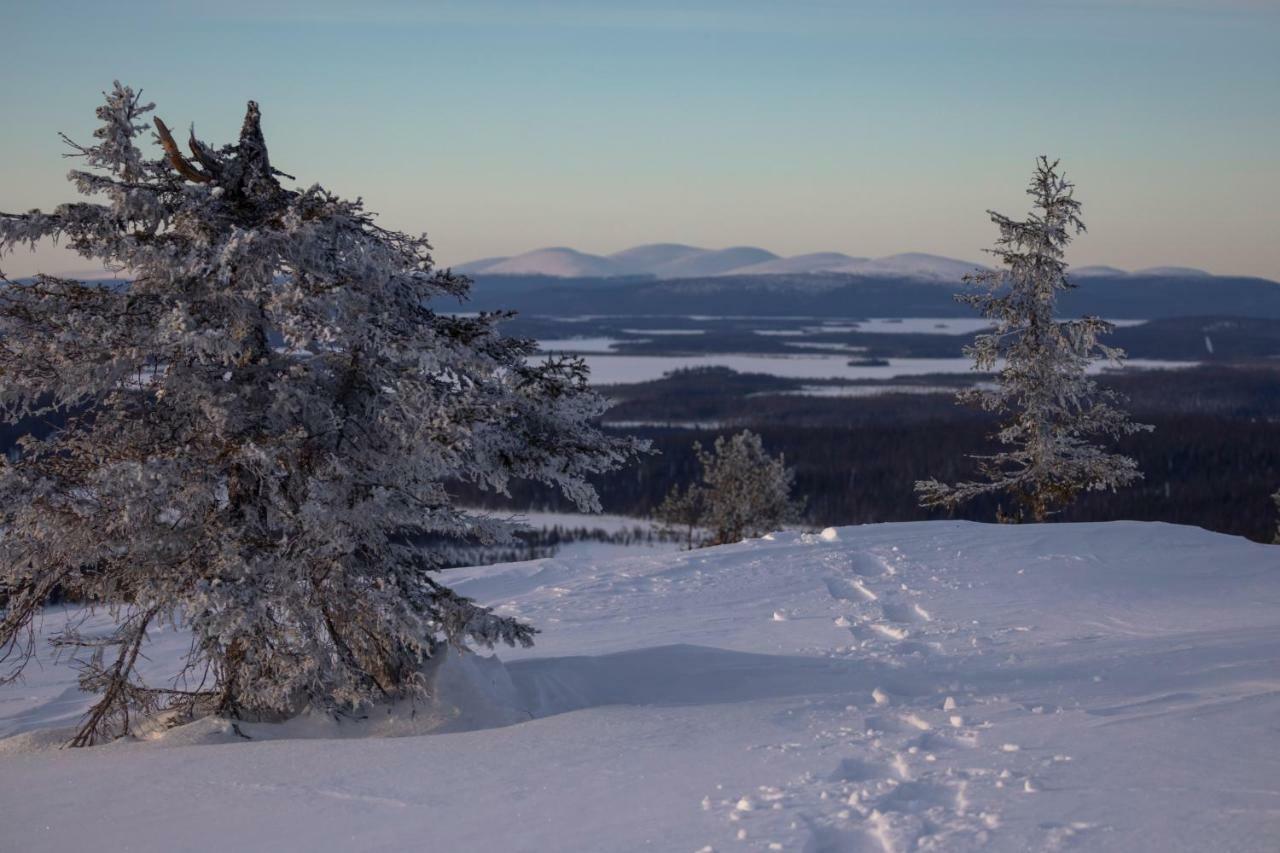 פאלאסטונטורי Lapland Hotels Pallas מראה חיצוני תמונה