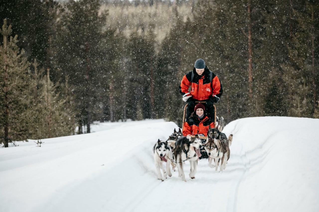 פאלאסטונטורי Lapland Hotels Pallas מראה חיצוני תמונה