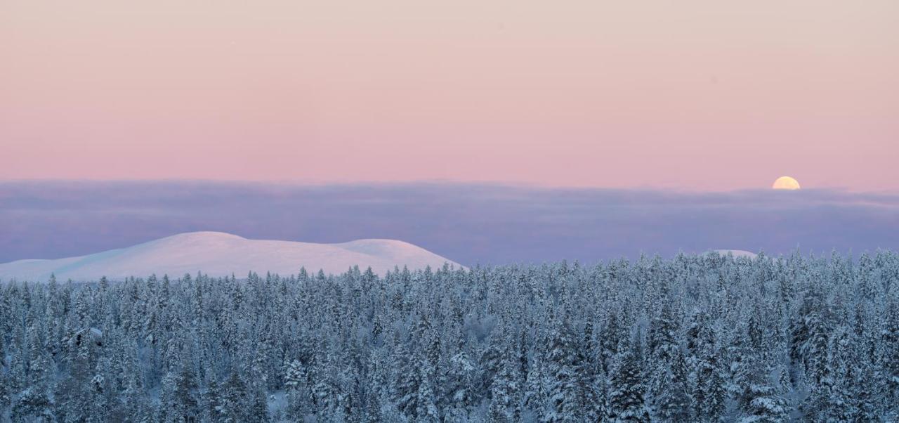 פאלאסטונטורי Lapland Hotels Pallas מראה חיצוני תמונה